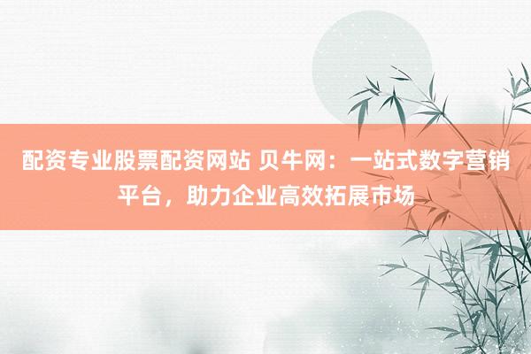配资专业股票配资网站 贝牛网：一站式数字营销平台，助力企业高效拓展市场