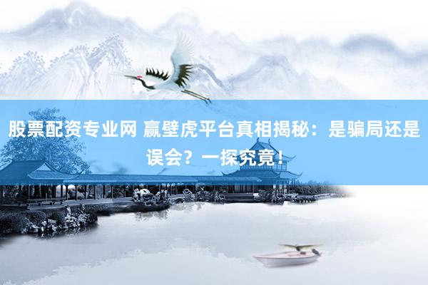 股票配资专业网 赢壁虎平台真相揭秘：是骗局还是误会？一探究竟！