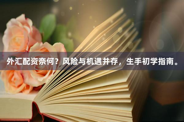 外汇配资奈何？风险与机遇并存，生手初学指南。