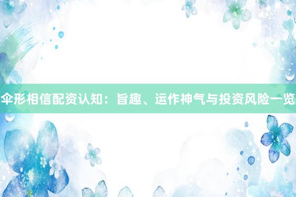 伞形相信配资认知：旨趣、运作神气与投资风险一览