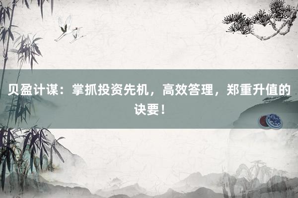 贝盈计谋：掌抓投资先机，高效答理，郑重升值的诀要！