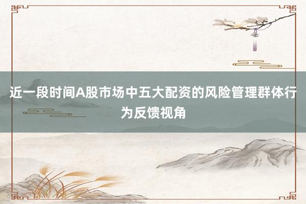 近一段时间A股市场中五大配资的风险管理群体行为反馈视角