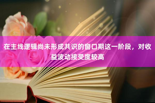 在主线逻辑尚未形成共识的窗口期这一阶段，对收益波动接受度较高