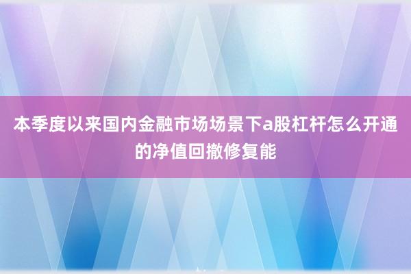 本季度以来国内金融市场场景下a股杠杆怎么开通的净值回撤修复能