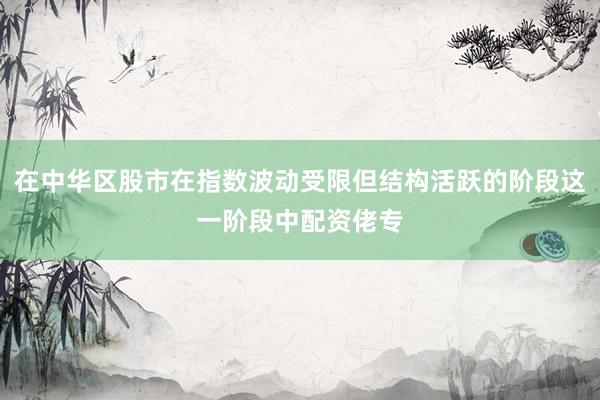 在中华区股市在指数波动受限但结构活跃的阶段这一阶段中配资佬专
