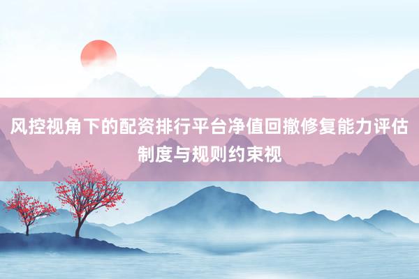 风控视角下的配资排行平台净值回撤修复能力评估制度与规则约束视