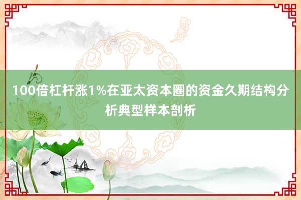 100倍杠杆涨1%在亚太资本圈的资金久期结构分析典型样本剖析