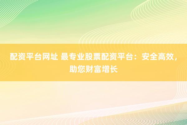 配资平台网址 最专业股票配资平台：安全高效，助您财富增长