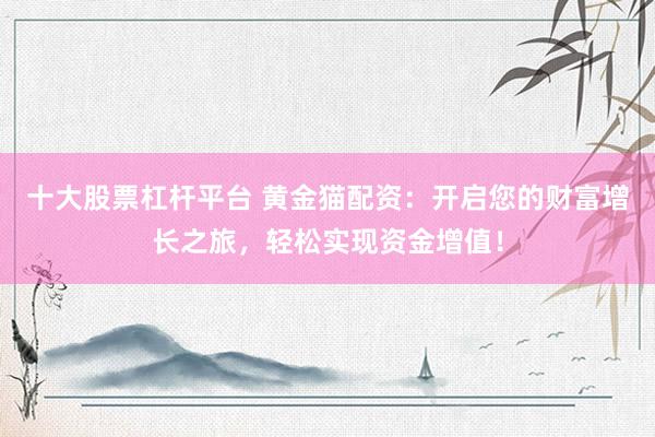 十大股票杠杆平台 黄金猫配资：开启您的财富增长之旅，轻松实现资金增值！