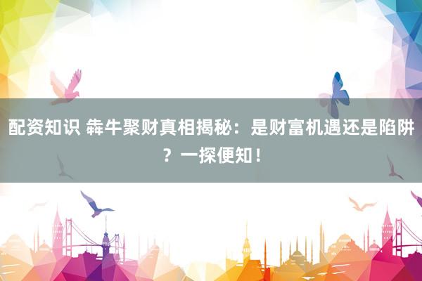 配资知识 犇牛聚财真相揭秘：是财富机遇还是陷阱？一探便知！