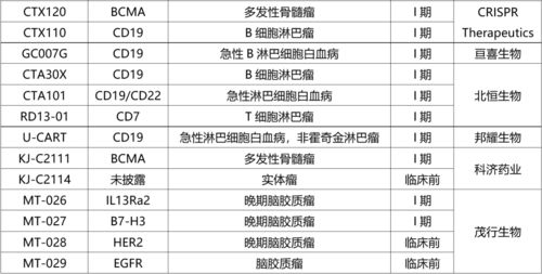 通用型car t,细胞治疗的 明日之星