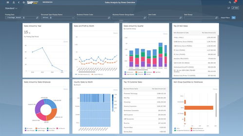 sap erp系统适用于半导体晶圆制造企业吗